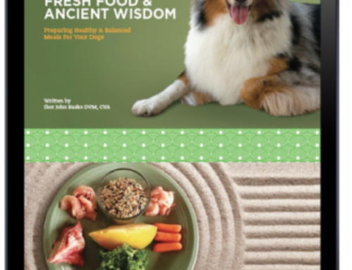 Fresh Food & Ancient Wisdom Digital