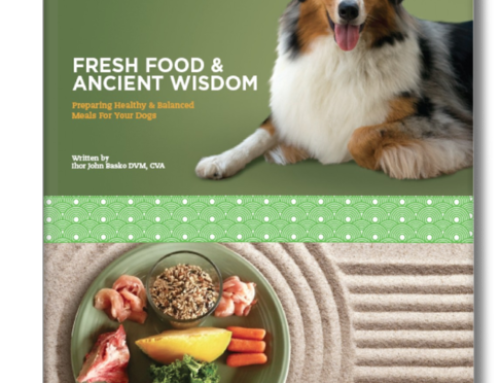 Fresh Food & Ancient Wisdom Book