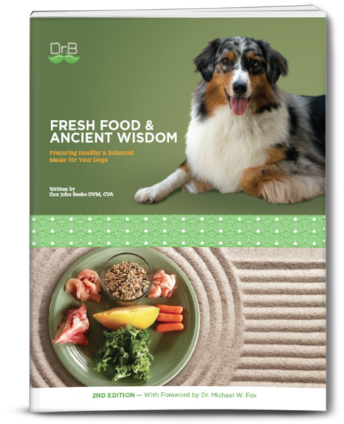paperbackfront Fresh Food & Ancient Wisdom (2nd Edition) Paperback