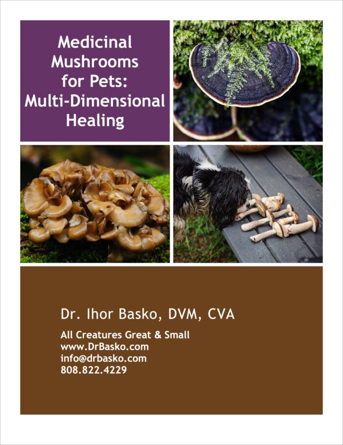 MEDICINAL MUSHROOMS FOR PETS: MULTI-DIMENSIONAL HEALING (DIGITAL)